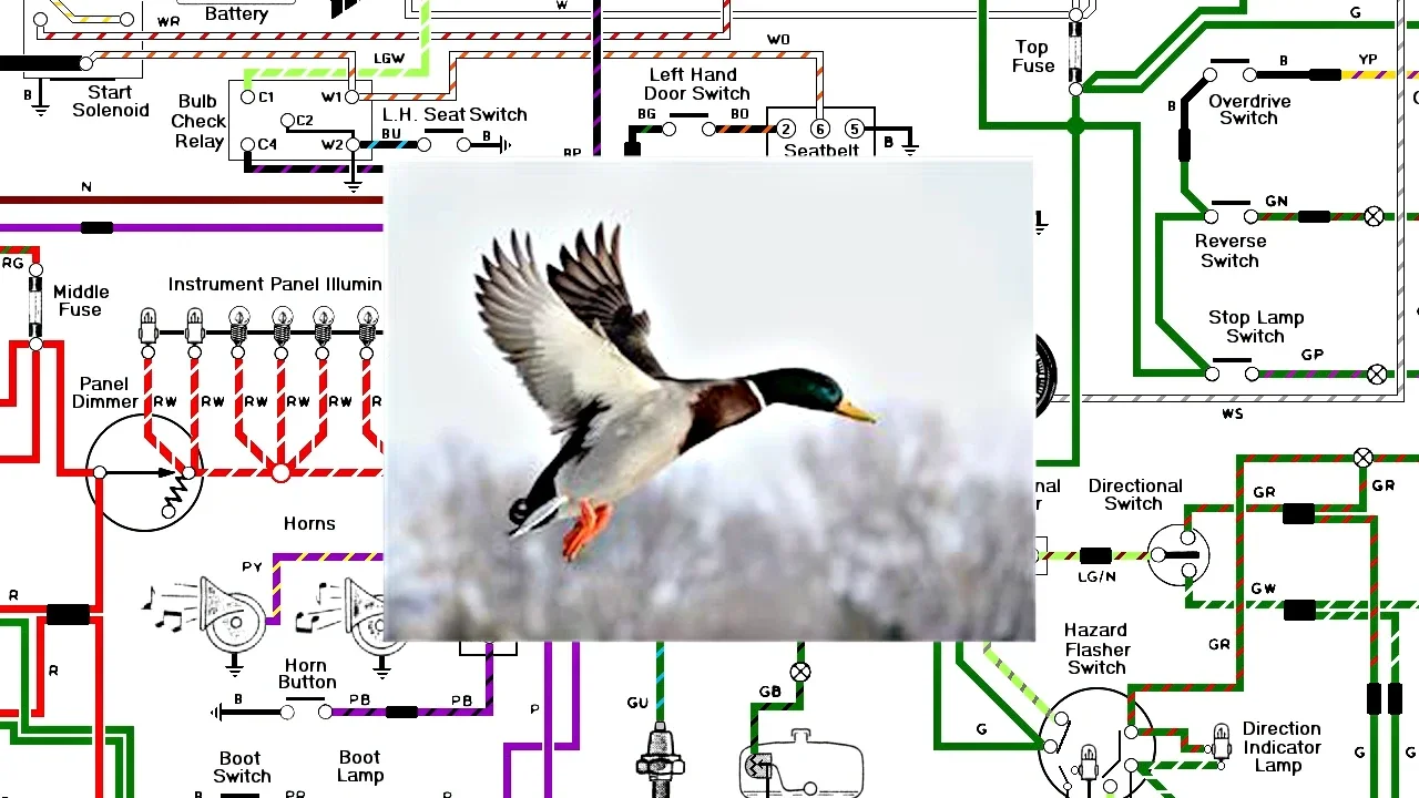 Slugabed - Earth is Gone Sorry