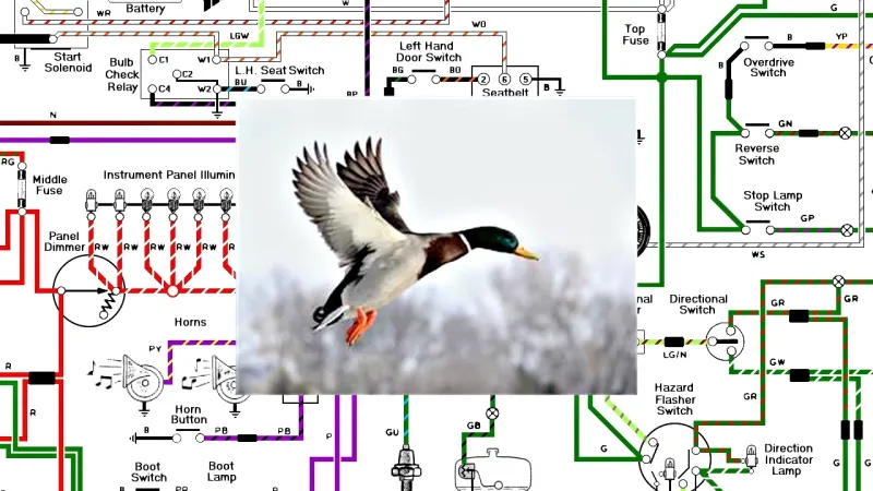 Slugabed - Earth is Gone Sorry