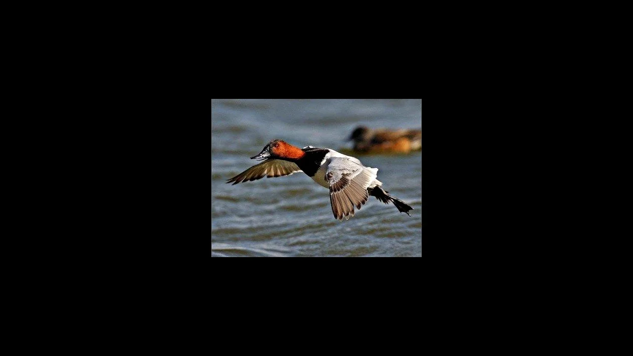 Slugabed - Earth is Gone Sorry